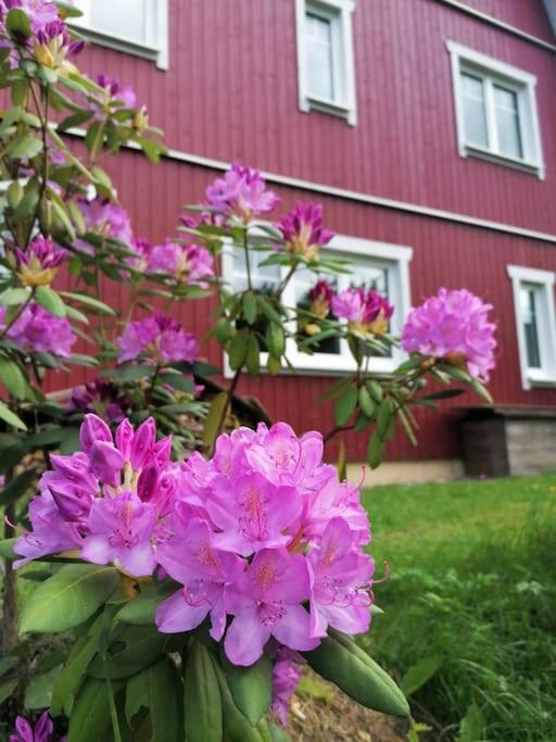 Haus Gruenfels Apartment 무라우 외부 사진